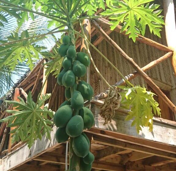 חדר סטנדרט עם מיטת קינג, Coco Reef Ecolodge