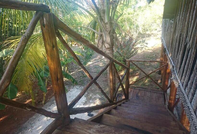 חדר סטנדרט נוף לגינה, Coco Reef Ecolodge