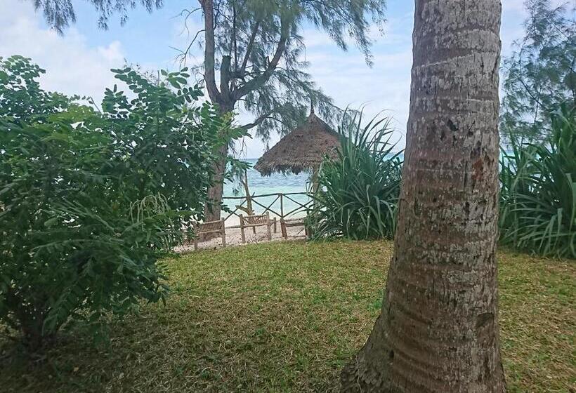 חדר סטנדרט נוף לים עם מרפסת, Coco Reef Ecolodge