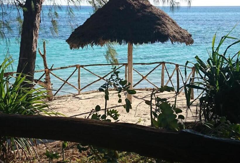 חדר סטנדרט נוף לים עם מרפסת, Coco Reef Ecolodge