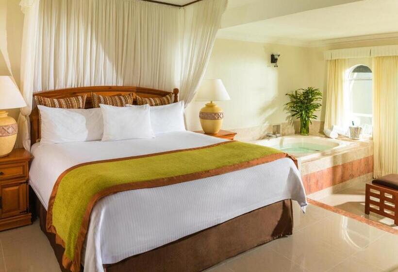 프리미엄 주니어 스위트, El Dorado Seaside Palms, Catamarán, Cenote & More Inclusive