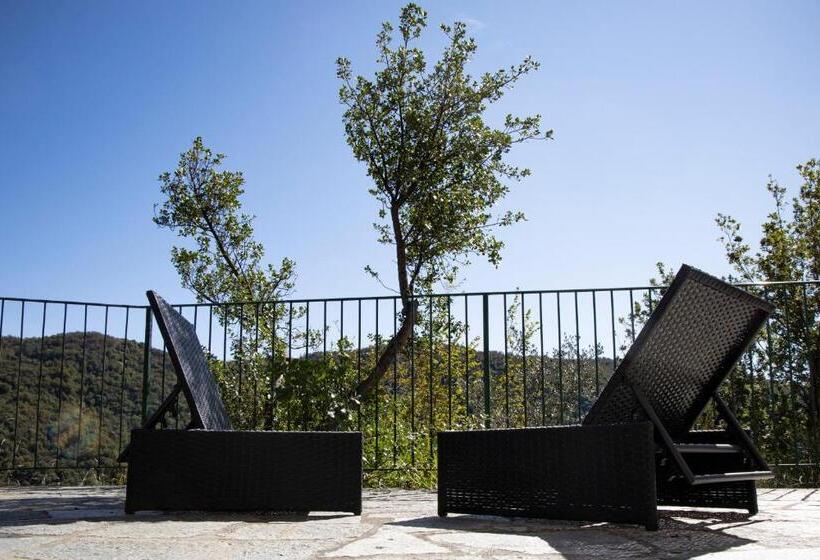 חדר דלוקס עם מרפסת, Looky