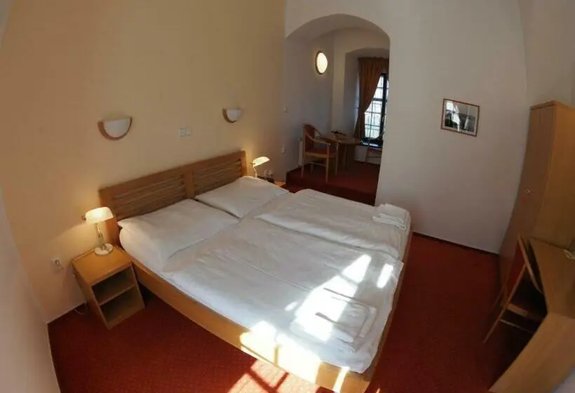 デラックスルーム, Chateau Zamek Cejkovice
