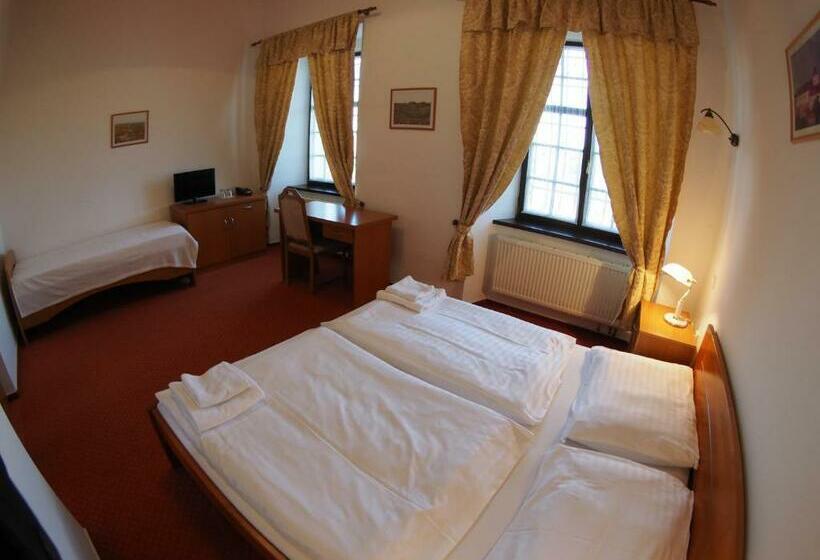 デラックスルーム, Chateau Zamek Cejkovice