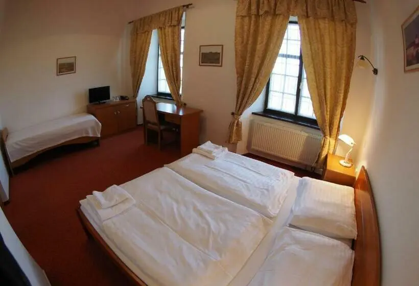 デラックスルーム, Chateau Zamek Cejkovice