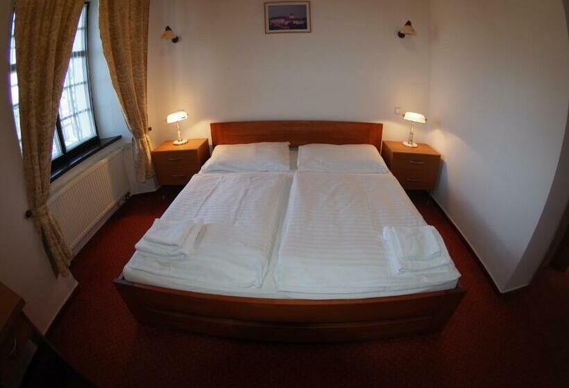 デラックスルーム, Chateau Zamek Cejkovice