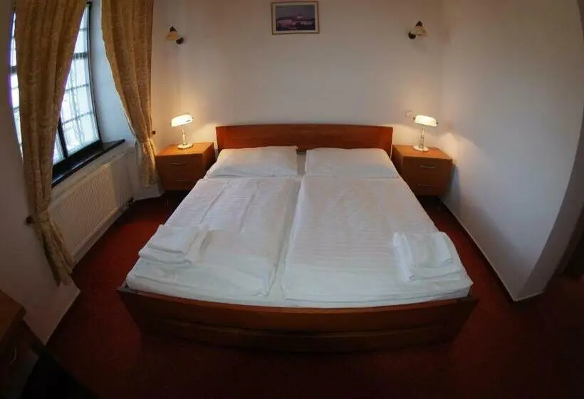 デラックスルーム, Chateau Zamek Cejkovice