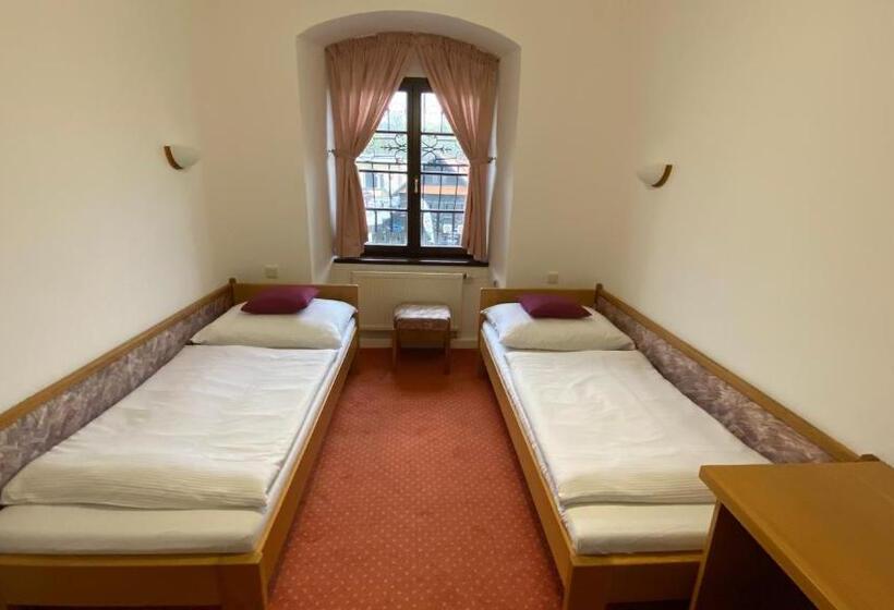 スタンダードルーム, Chateau Zamek Cejkovice