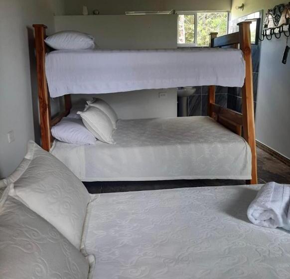 חדר משפחתי, El Potrillo