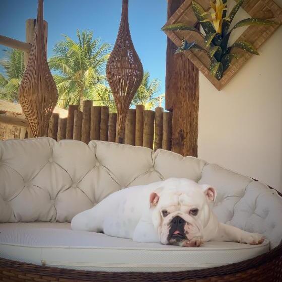 סוויטה משפחתית, Akua Concept   Taipu De Fora