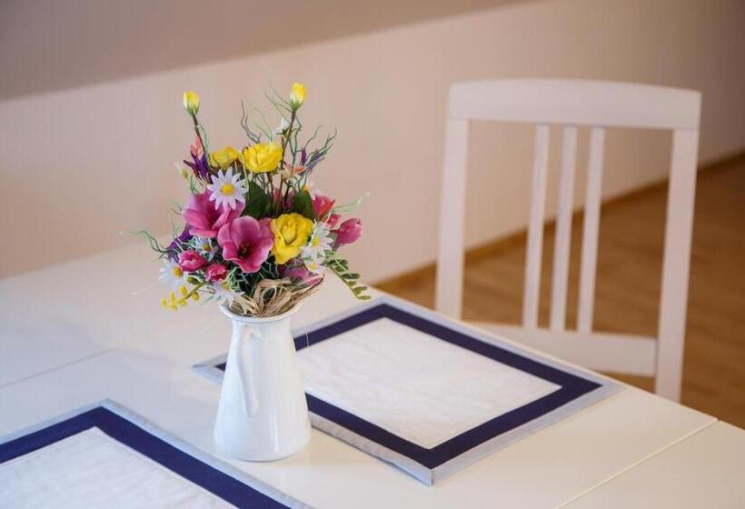 标准工作室, Vila Terra