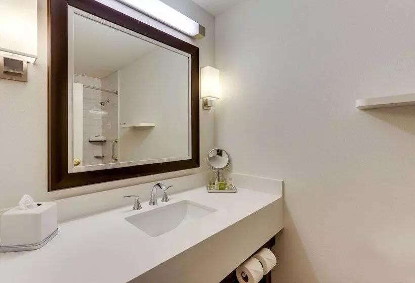 اتاق استاندارد با 2 تخت دوبل, Doubletree By Hilton St. Louis Forest Park