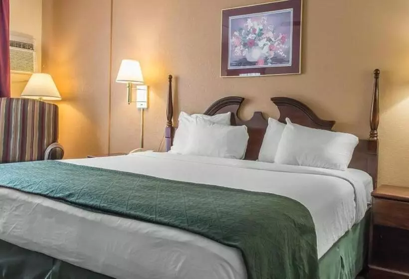 キングサイズベッドのスタンダードルーム, Fairbridge Inn & Suites Poconos