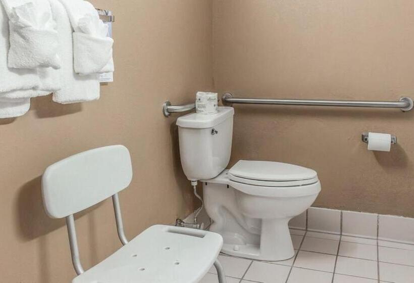 장애인을 위한 스탠다드 룸, Fairbridge Inn & Suites Poconos