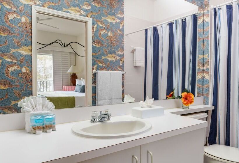 جناح كلاسيكي, Olde Marco Island Inn And Suites