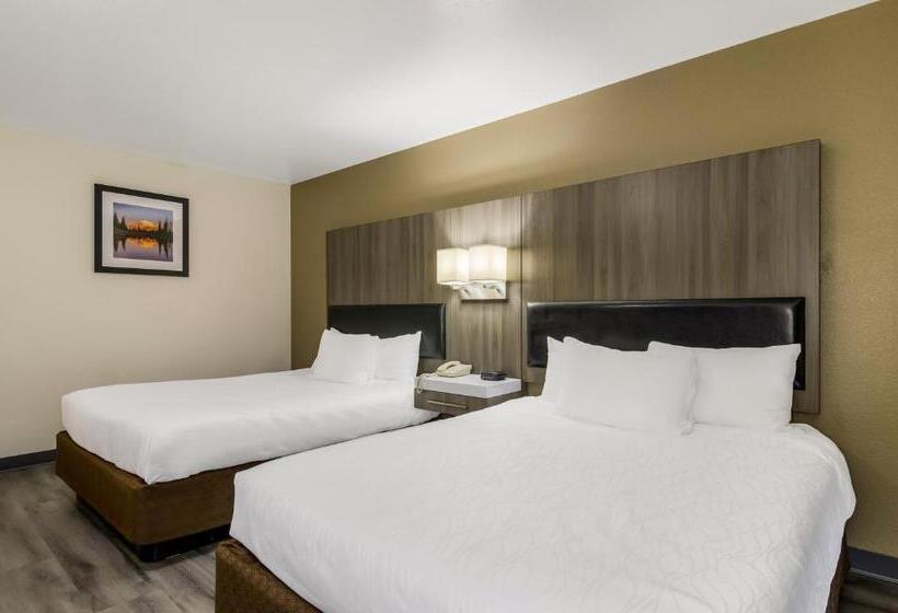 标准间, Rodeway Inn Enumclaw Mount Rainier Crystal Mountain Area