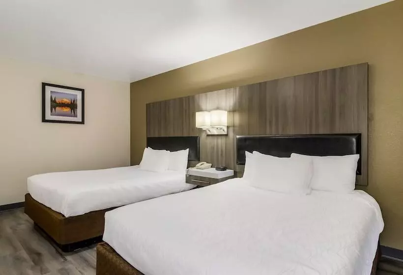 ２ダブルベッドのスタンダードルーム, Rodeway Inn Enumclaw Mount Rainier Crystal Mountain Area