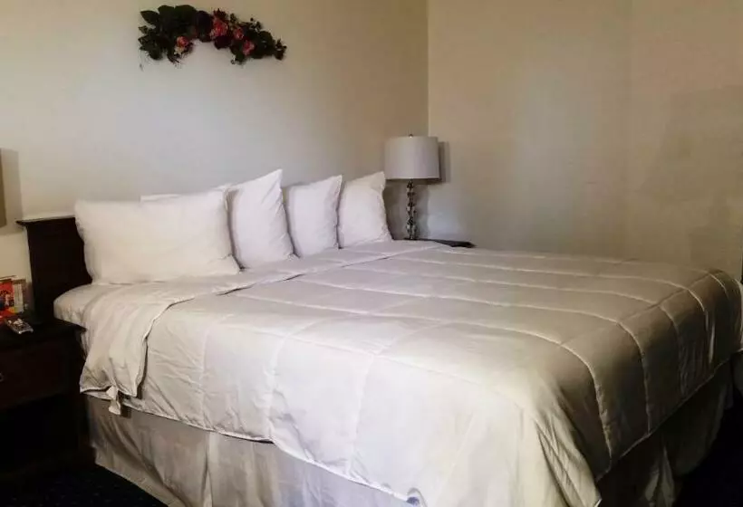 اتاق استاندارد با تخت بزرگ, Stanford Motor Inn