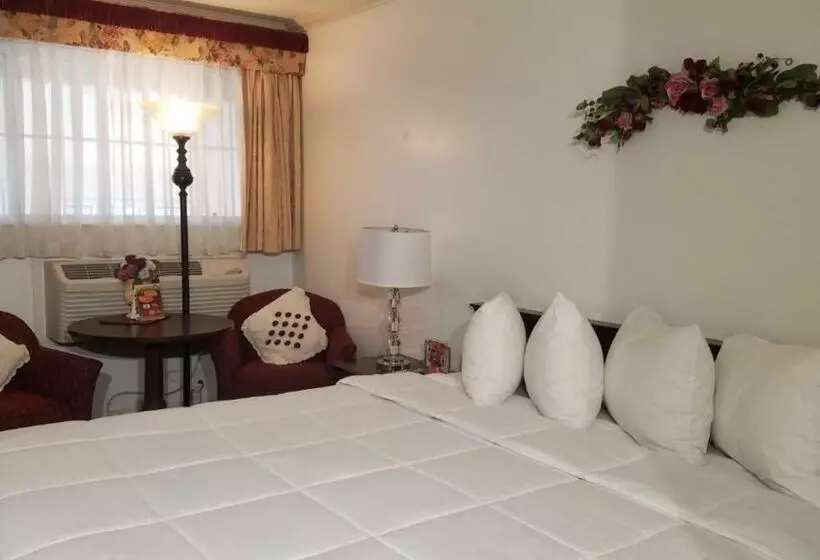 اتاق استاندارد با تخت بزرگ, Stanford Motor Inn