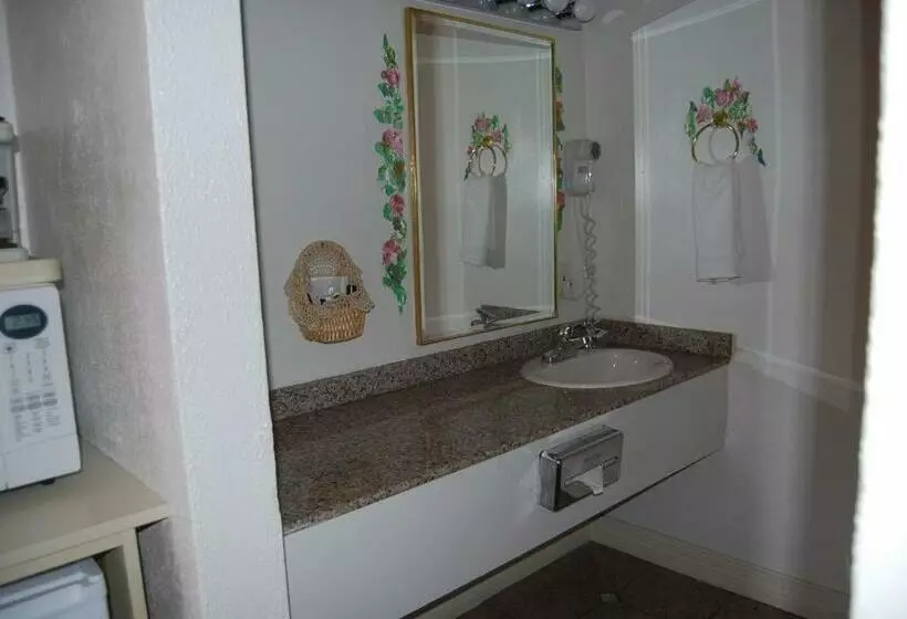 اتاق استاندارد با تخت بزرگ, Stanford Motor Inn