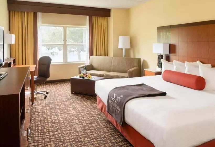 キングサイドベッドのスタンダードワンルーム, Stonewall Resort