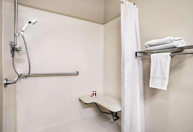 חדר סטנדרט מותאם לאדם עם מוגבלויות, Travelodge By Wyndham Green River Wy