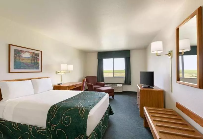 キングサイズベッドのスタンダードルーム, Travelodge By Wyndham Sharon Springs