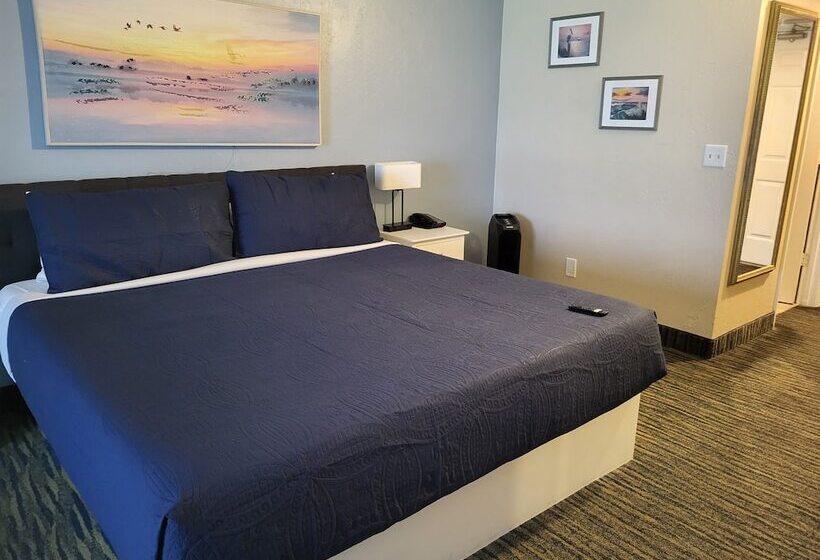 غرفة أساسية سرير مزدوج, Beachside Hotel   Daytona Beach   No Pool