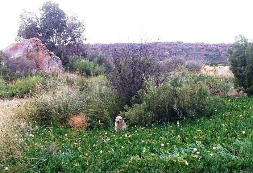 בקתת חדר, Alpha Excelsior Guest Farm