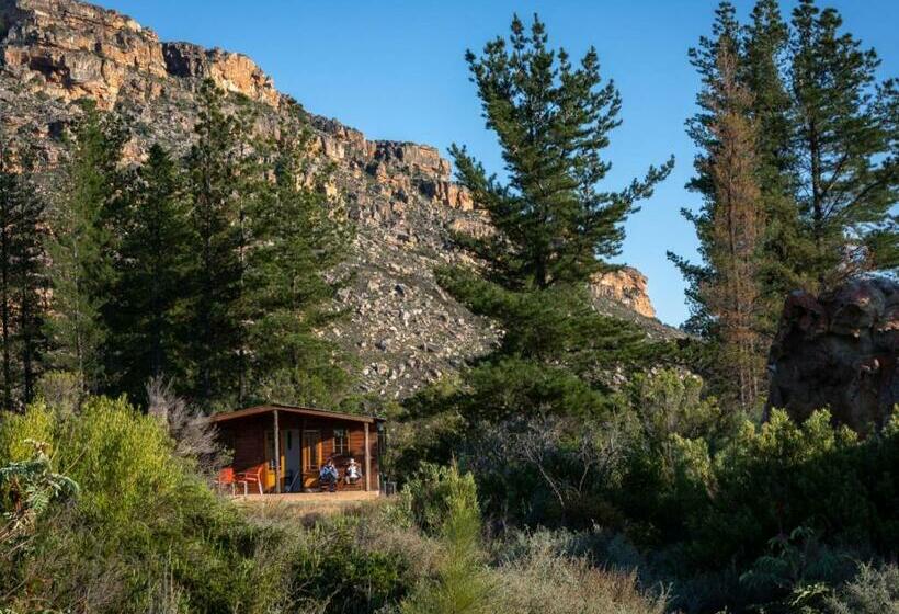 בקתת חדר, Alpha Excelsior Guest Farm