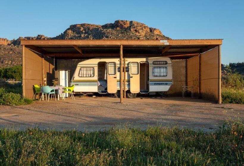 Номер Стандарт, Alpha Excelsior Guest Farm