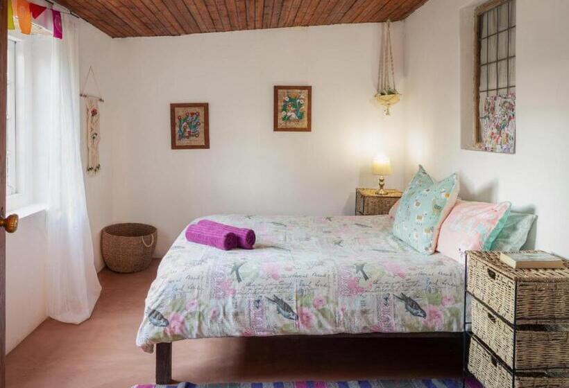 בונגלו משפחתי, Alpha Excelsior Guest Farm