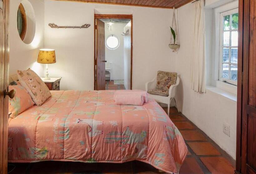 בונגלו משפחתי, Alpha Excelsior Guest Farm