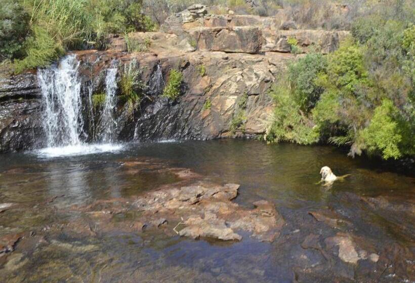 חדר סטנדרט, Alpha Excelsior Guest Farm