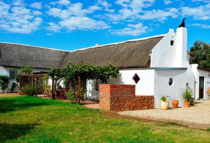 בונגלו משפחתי, Alpha Excelsior Guest Farm