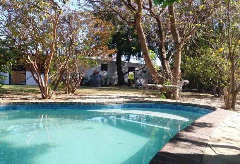 בונגלו משפחתי, Alpha Excelsior Guest Farm