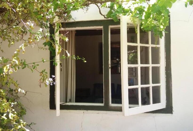 בונגלו משפחתי, Alpha Excelsior Guest Farm