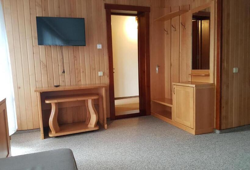 اتاق لوکس با تراس, Atava Family House