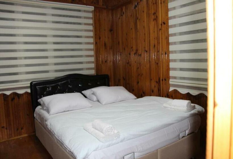 דירת שני חדרים, Koloni Apart