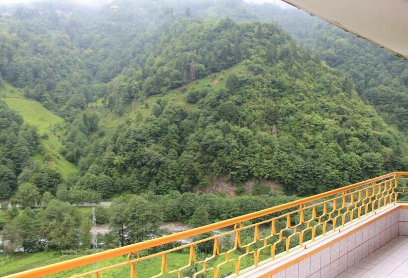 דירת שני חדרים, Koloni Apart