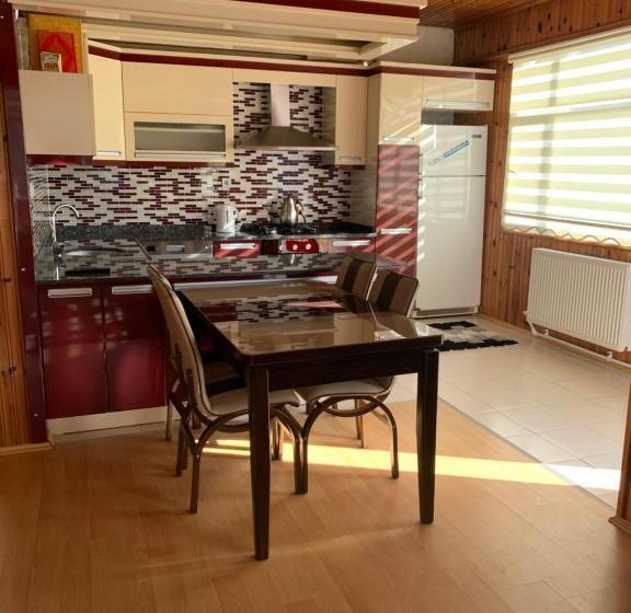 דירת שני חדרים, Koloni Apart