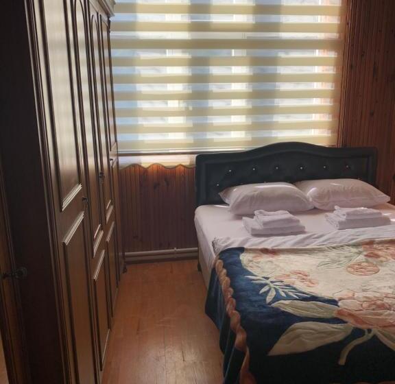 דירת שני חדרים, Koloni Apart