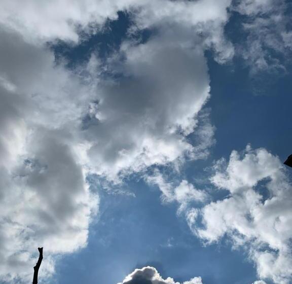 דירת שני חדרים, Koloni Apart