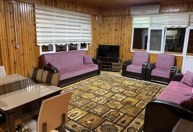 דירת שני חדרים, Koloni Apart