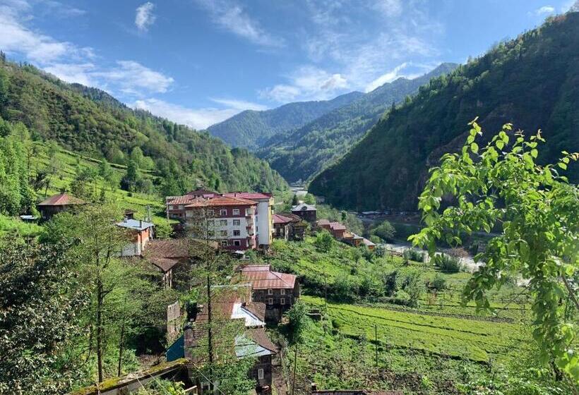 דירת שני חדרים, Koloni Apart