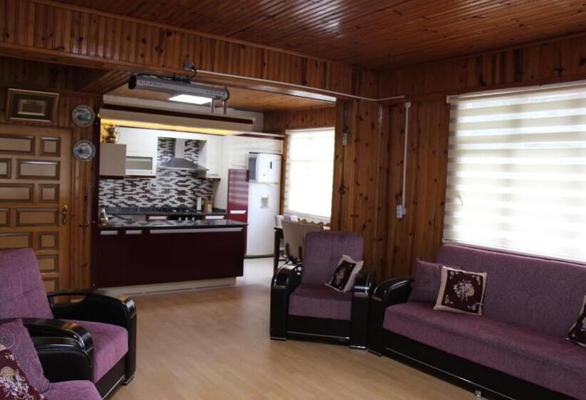 דירת שני חדרים, Koloni Apart