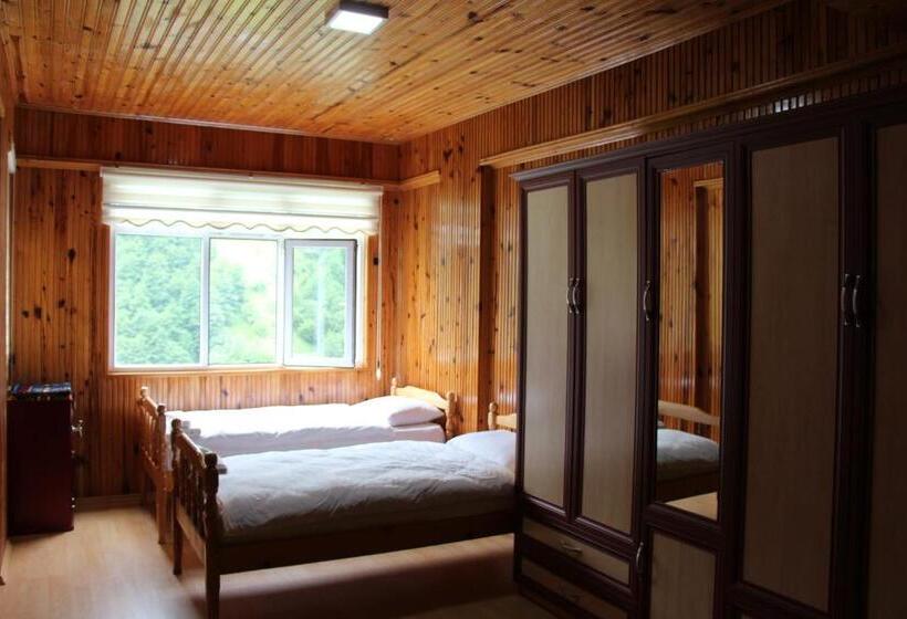 דירת שני חדרים, Koloni Apart