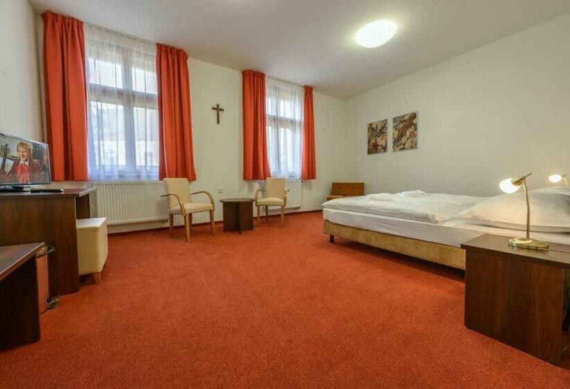 غرفة قياسية لذوى الاحتياجات الخاصة, Penzion Panský Dům