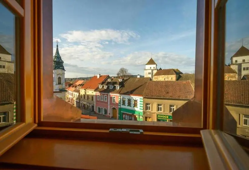 身障者適用スタンダードルーム, Penzion Panský Dům