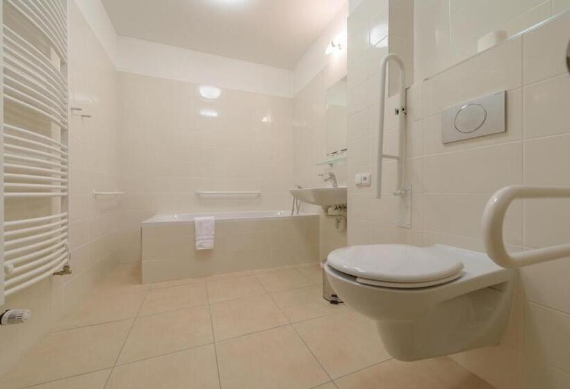 غرفة قياسية لذوى الاحتياجات الخاصة, Penzion Panský Dům